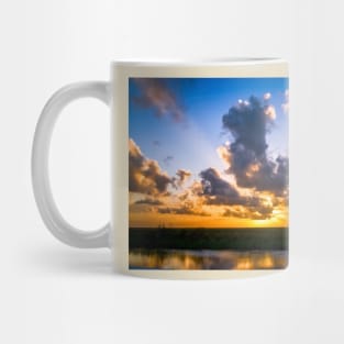 Everglades Sunset Mug